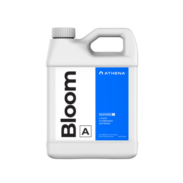 Athena Bloom B 32OZ